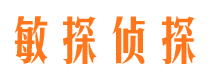 叠彩寻人公司